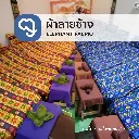 Elephant Print Fabric -1